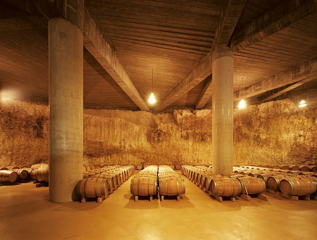 Château de Chambord plants 'first vines since French Revolution' - Decanter