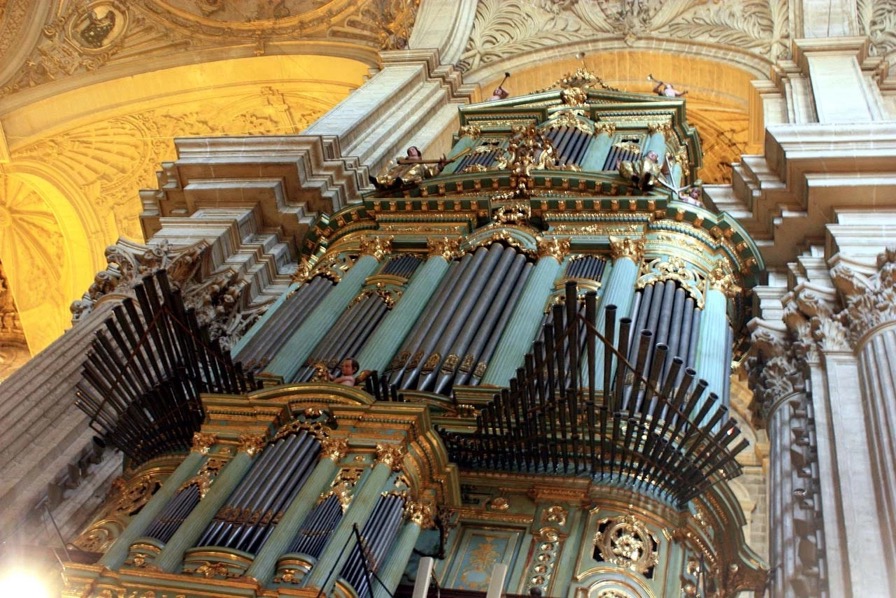 malaga-catedral organ