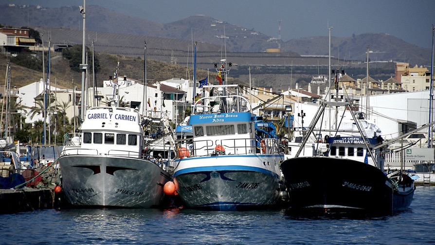 Pesca Malaga