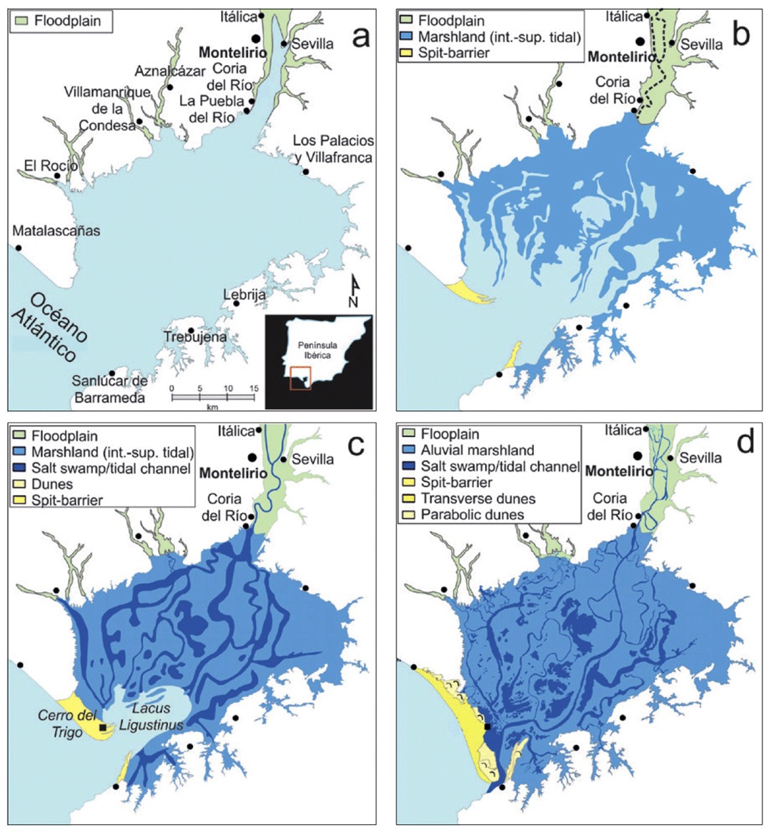 Evolution of the Guadalquivir Floodplain