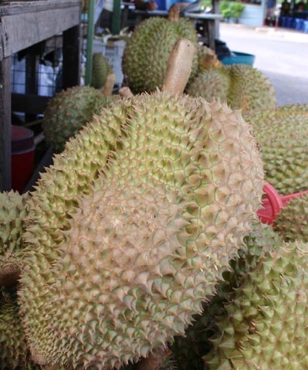 Durian