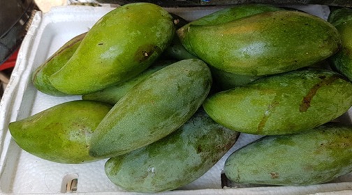 Green Mango