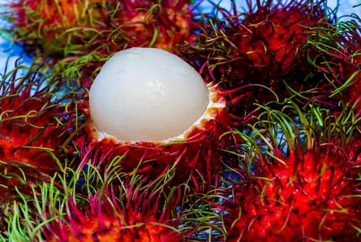 Rambutan