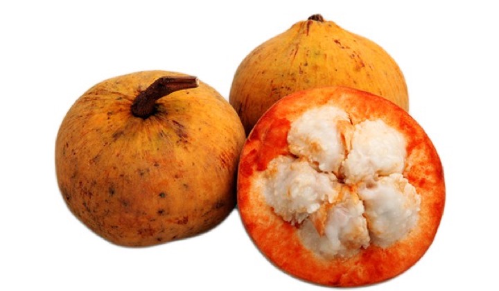 Santol