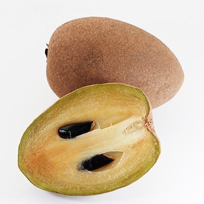 Sapodilla