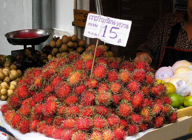 Thai Ngor