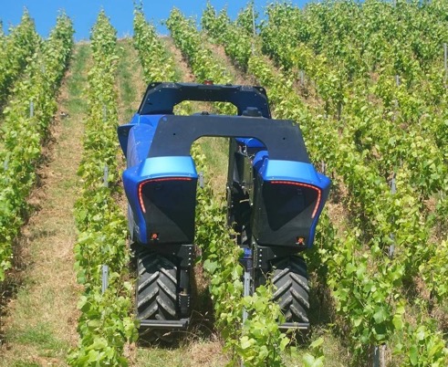 Electric Vineyard Robots