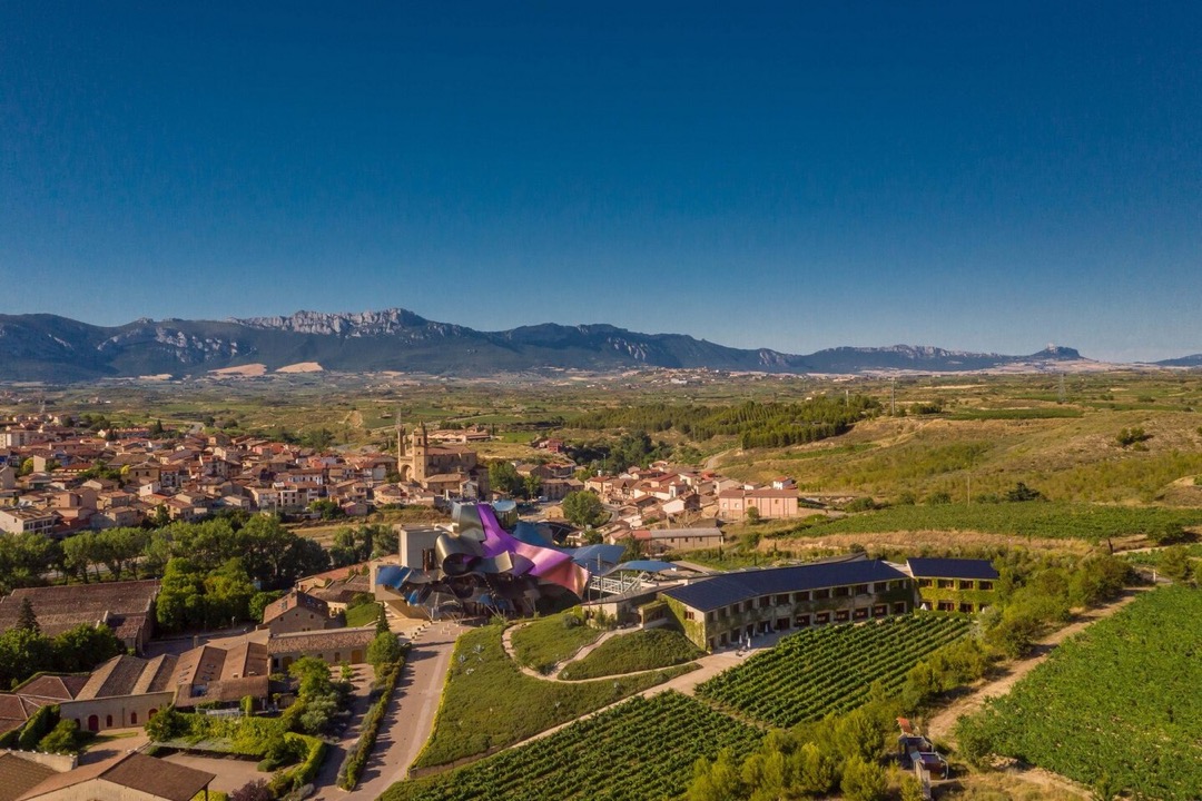 Making Rioja Wine