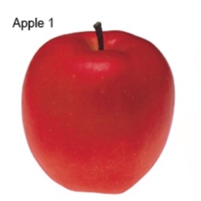 Apple 1