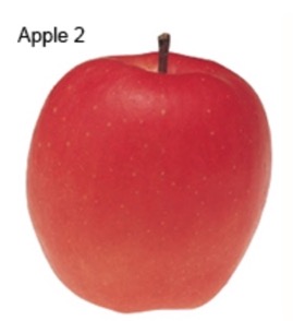 Apple 2