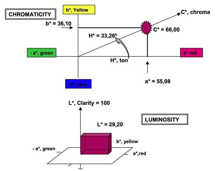 Chromatic Characteristics of a Young Red Wine