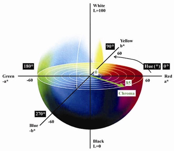 http://www.bernardsmith.name/visiting_spain/history_rioja_wine/rioja_wine_classification/files/colour-space-for-wine.jpg