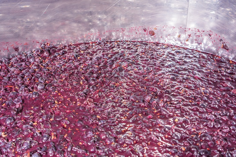 Maceration Cap