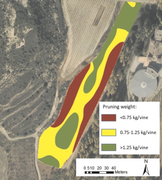 Map of Pruning Wood Weight